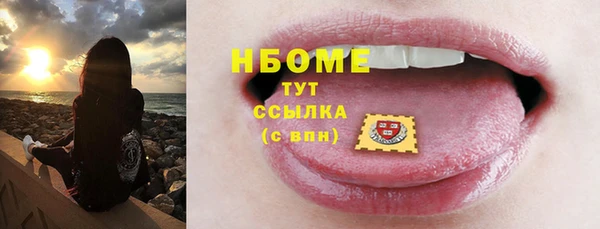 прущие грибы Армянск