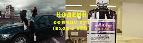 твердый Снежногорск