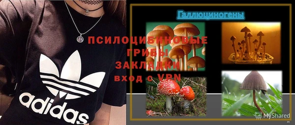 прущие грибы Армянск