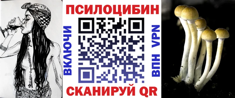 закладки  Мирный  Псилоцибиновые грибы Psilocybe 